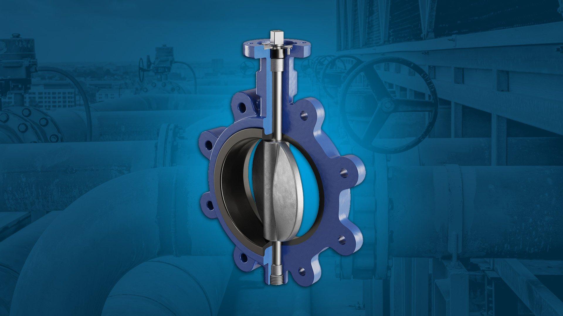 FNW Butterfly Valve on a blue background